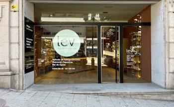 Centro Lev Vigo
