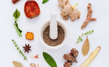 Shannaya Nutrizioa - Nutrición