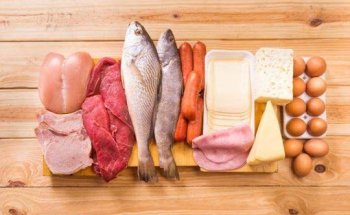 Low Carb High Fat Coach Minturno