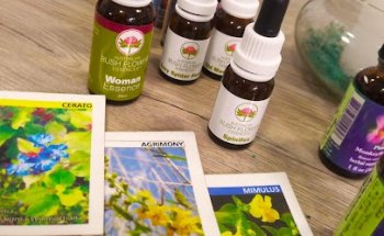 Nutrición y Terapia Floral - Lic. Cecilia Quiroga