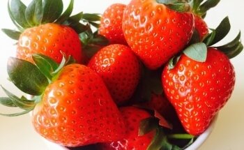 DieetPlaneet Zaandam