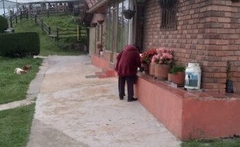 Finca yuyana