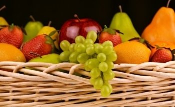 Nutrition Wellness LLC