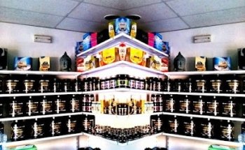 Status Nutrition