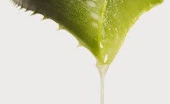Aloe y Salud