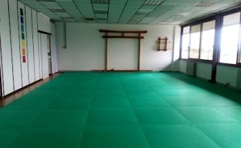 Aikido Rivoli Ryu