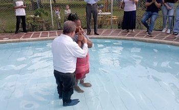 Variedades offirchis