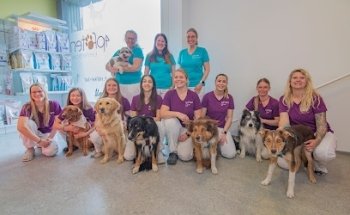 Kleintierpraxis 4 Pfoten, Hilfiker-Jud Franziska, Dr. med. vet.