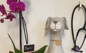 Cabinet vétérinaire Équilibre Sàrl