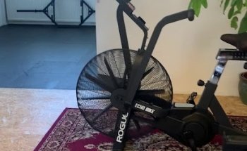 Bramstille.nl whiplash expert