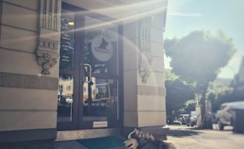 Natural Dog Store