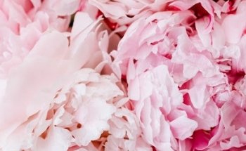 Maria-Magdalena Fuchs - Fitness für Frauen | Beckenbodentraining | Zyklusbasiertes Training | Spezialistin für Rektusdiastase