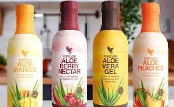 Aloe Vera Pyrénées orientales