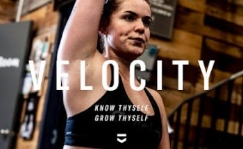 Velocity Human Design and Optimization