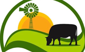 TX Bar Grassfed Cattle Company