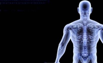 Activate Your Health Chiropractic and Wellness Center, LLC