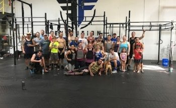 Evolution Fitness-Gym