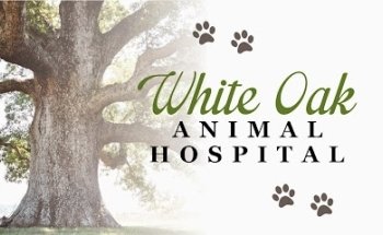 White Oak Animal Hospital - Clinic & Holistic Telemedicine