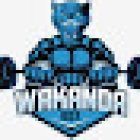 Wakanda Box