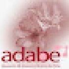 ADABE, Asociación de Anorexia y Bulimia de Elche