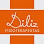 Diliz fisioterapeutas