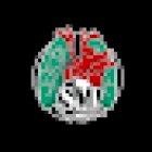 SM professional