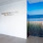 Arts en Zorg Haagse Hout