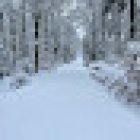 Praxis Dr. med Gerhard Rudorf