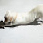 Malabarprincess Yoga Studio And Training Yoga À Toulouse