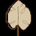 Fearless Nutrition - Dietitian