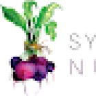 Sylwia Razak Nutrition