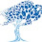 UBMD Orthopaedics & Sports Medicine