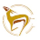 Springbok Wellness and Rehab