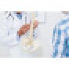 Dr. Kwang Lee Wellness Center