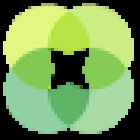 Summerfield Custom Wellness