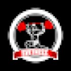 Svetness Fitness Studio