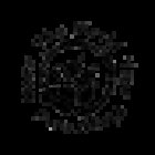 BAREFIT MOVEMENT CO-OP