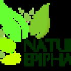 Natural Epiphany Salon and Wellness