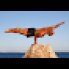 Dr. Thomas McLeod Baader