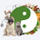 White Oak Animal Hospital - Clinic & Holistic Telemedicine