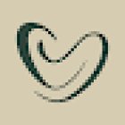 Center for Lifetime Health